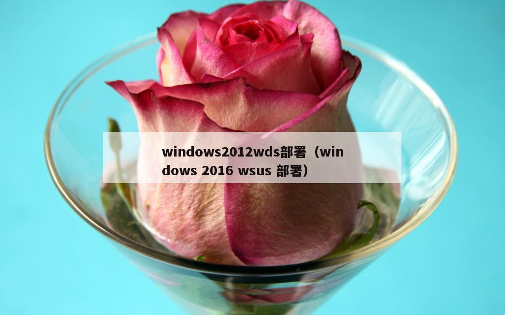 windows2012wds部署（windows 2016 wsus 部署）