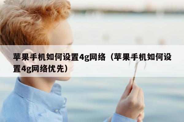 苹果手机如何设置4g网络（苹果手机如何设置4g网络优先）