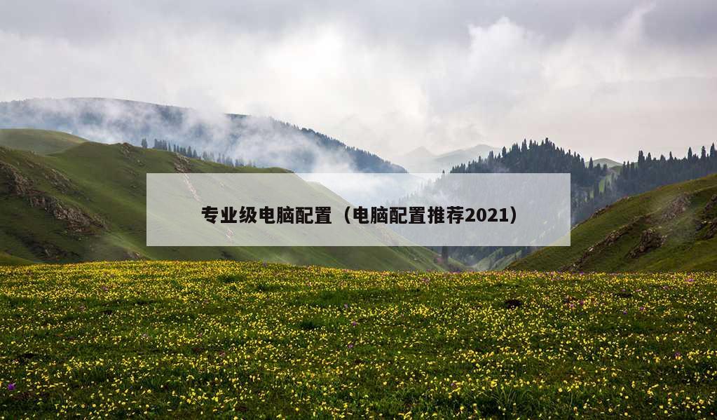 专业级电脑配置（电脑配置推荐2021）