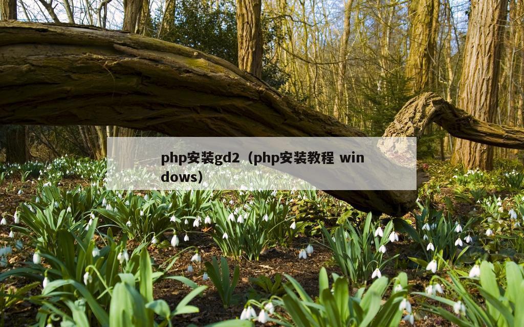 php安装gd2（php安装教程 windows）