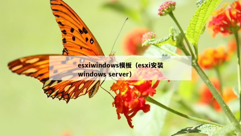 esxiwindows模板（esxi安装windows server）