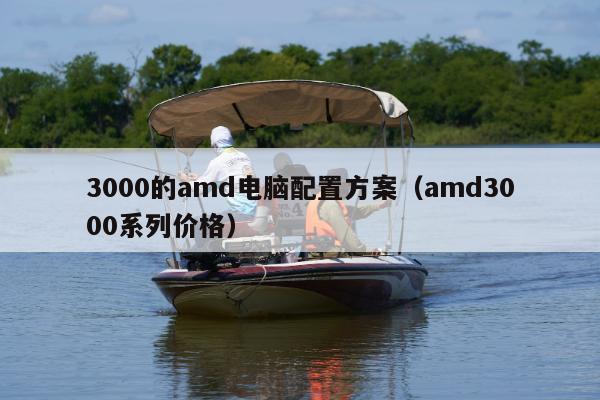 3000的amd电脑配置方案（amd3000系列价格）