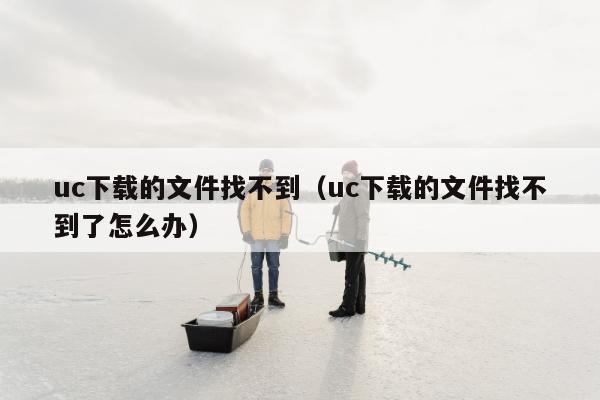 uc下载的文件找不到（uc下载的文件找不到了怎么办）