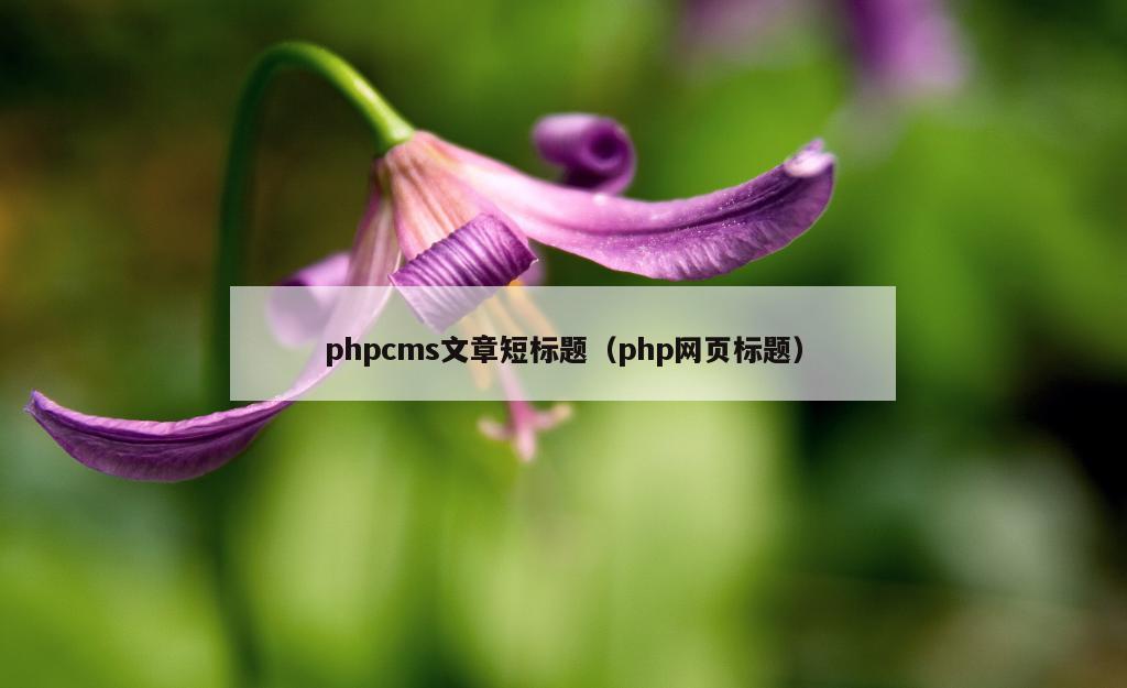 phpcms文章短标题（php网页标题）