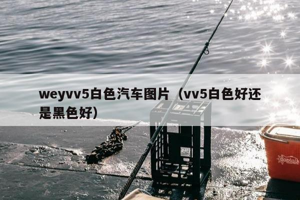 weyvv5白色汽车图片（vv5白色好还是黑色好）