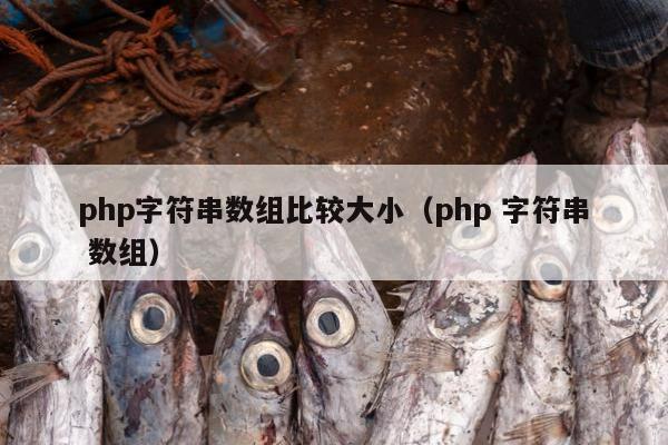 php字符串数组比较大小（php 字符串 数组）