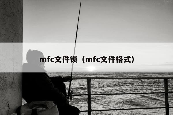 mfc文件锁（mfc文件格式）