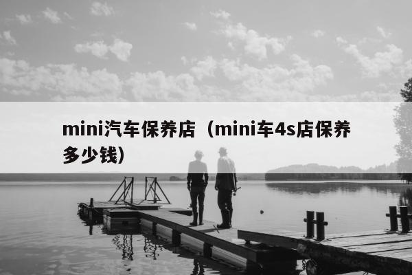 mini汽车保养店（mini车4s店保养多少钱）