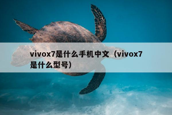 vivox7是什么手机中文（vivox7是什么型号）