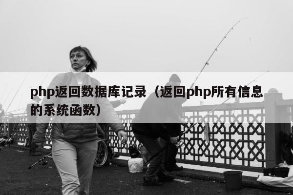 php返回数据库记录（返回php所有信息的系统函数）