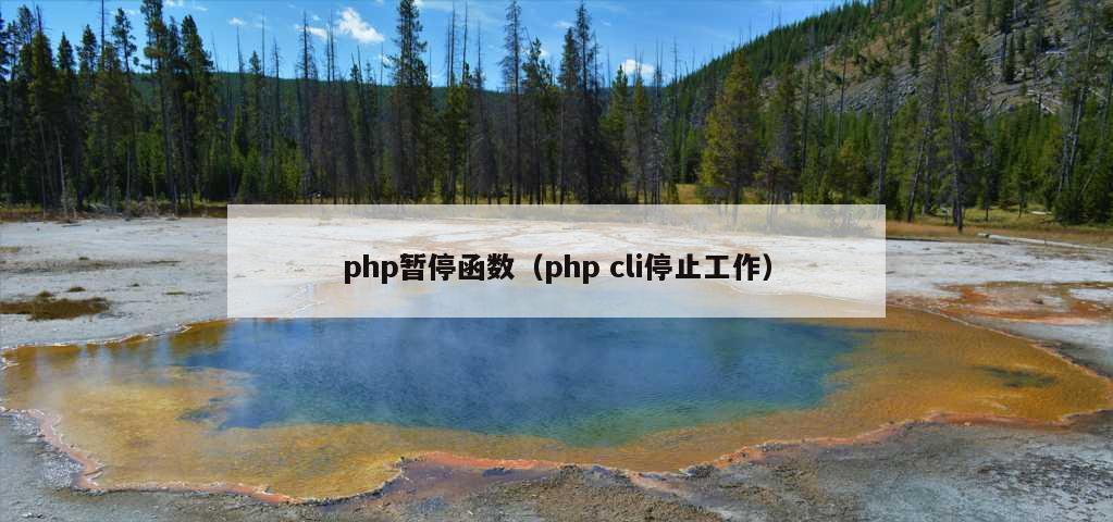 php暂停函数（php cli停止工作）