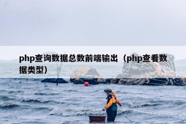 php查询数据总数前端输出（php查看数据类型）