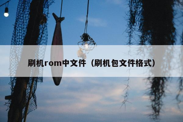 刷机rom中文件（刷机包文件格式）