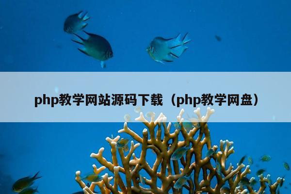 php教学网站源码下载（php教学网盘）