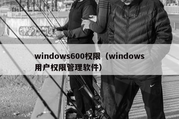 windows600权限（windows用户权限管理软件）