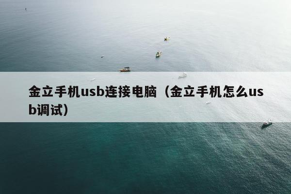 金立手机usb连接电脑（金立手机怎么usb调试）