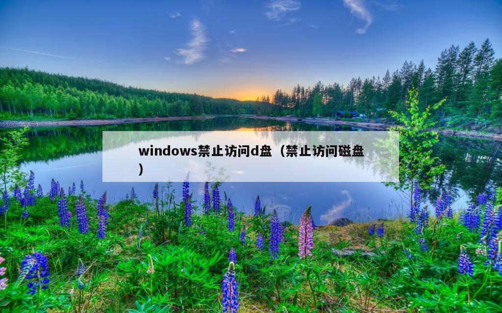 windows禁止访问d盘（禁止访问磁盘）