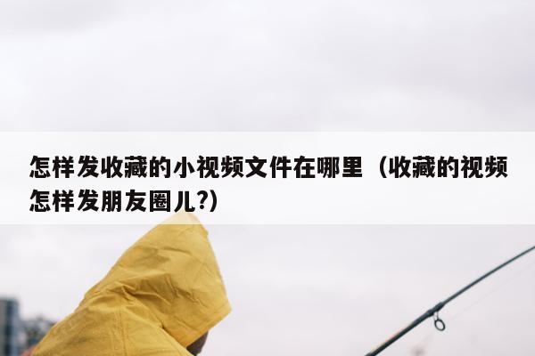 怎样发收藏的小视频文件在哪里（收藏的视频怎样发朋友圈儿?）