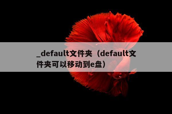 _default文件夹（default文件夹可以移动到e盘）