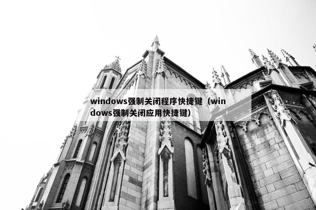 windows强制关闭程序快捷键（windows强制关闭应用快捷键）