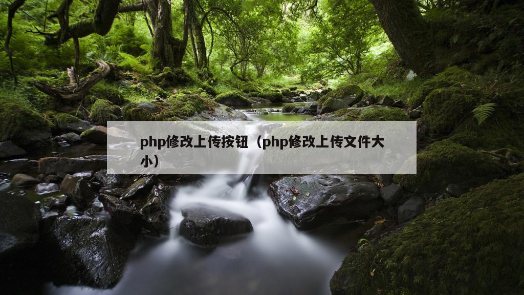 php修改上传按钮（php修改上传文件大小）