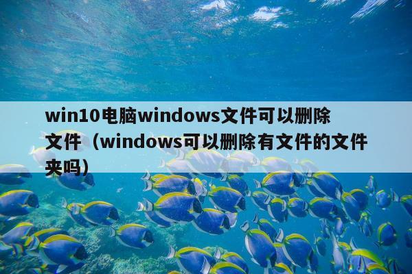 win10电脑windows文件可以删除文件（windows可以删除有文件的文件夹吗）