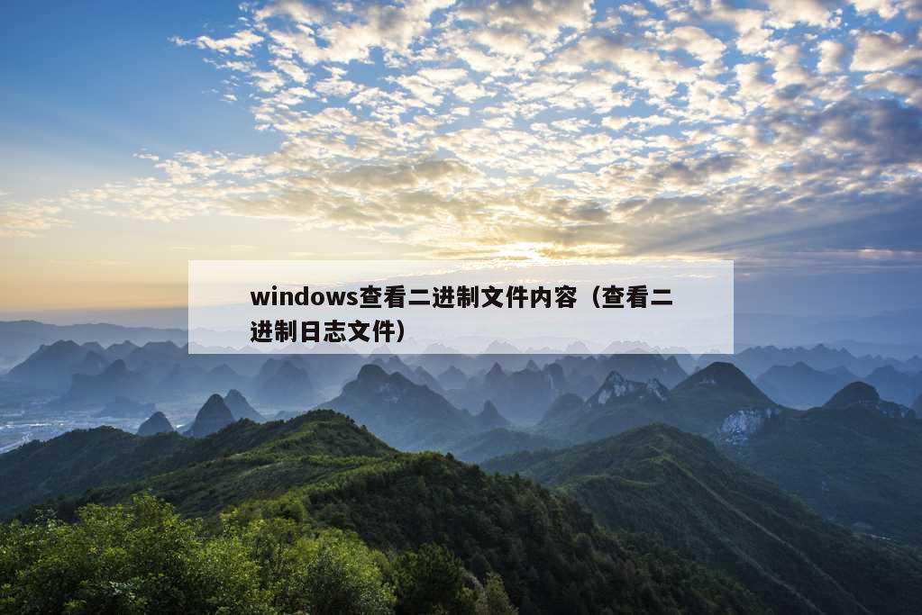 windows查看二进制文件内容（查看二进制日志文件）