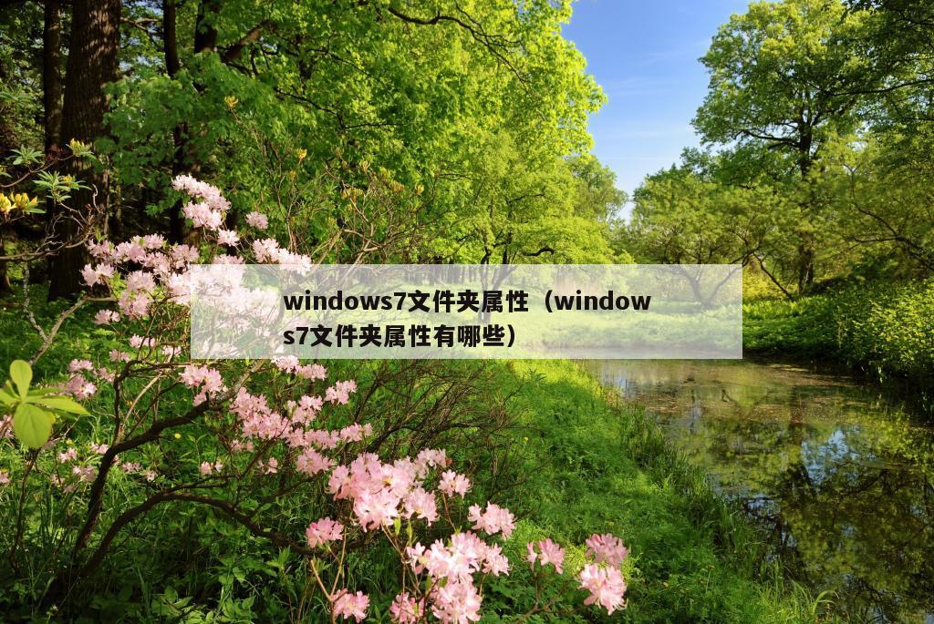 windows7文件夹属性（windows7文件夹属性有哪些）