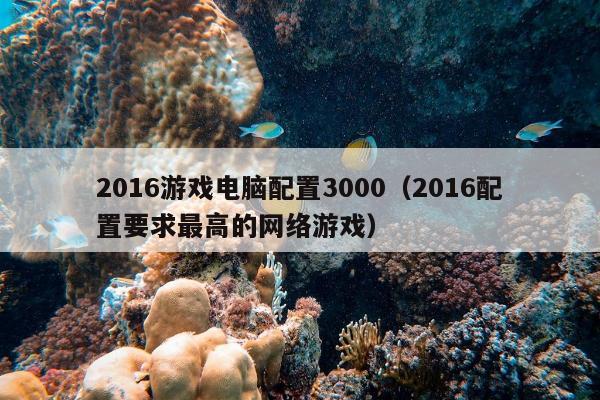 2016游戏电脑配置3000（2016配置要求最高的网络游戏）