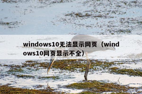 windows10无法显示网页（windows10网页显示不全）