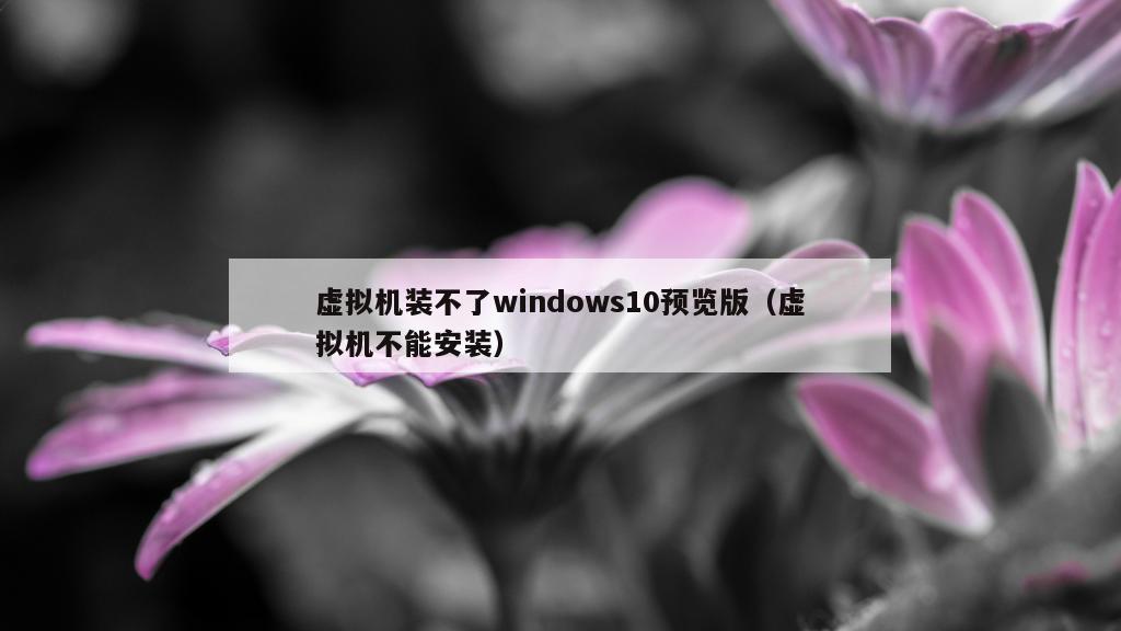 虚拟机装不了windows10预览版（虚拟机不能安装）