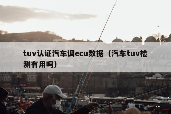 tuv认证汽车调ecu数据（汽车tuv检测有用吗）