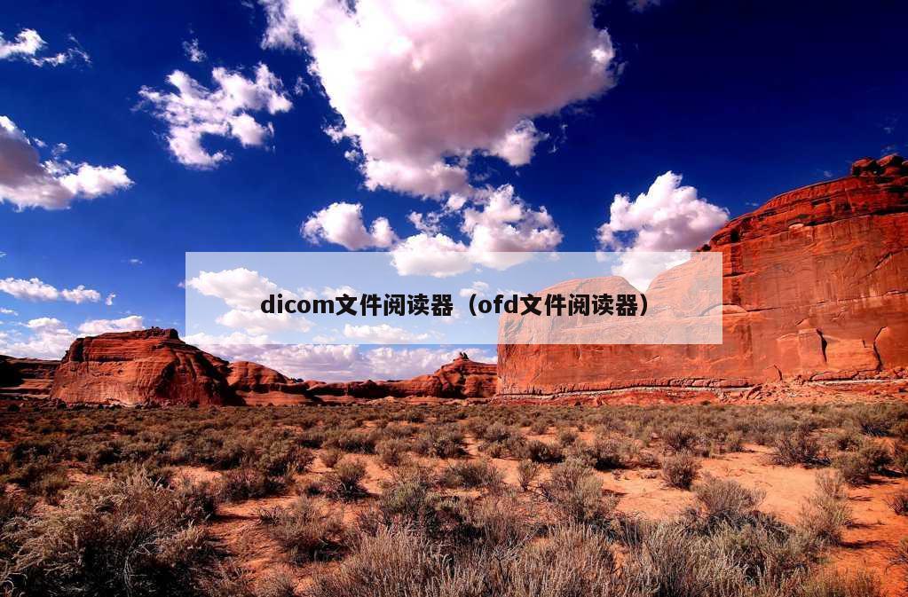 dicom文件阅读器（ofd文件阅读器）