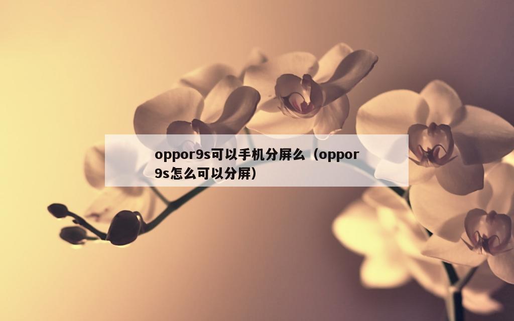 oppor9s可以手机分屏么（oppor9s怎么可以分屏）