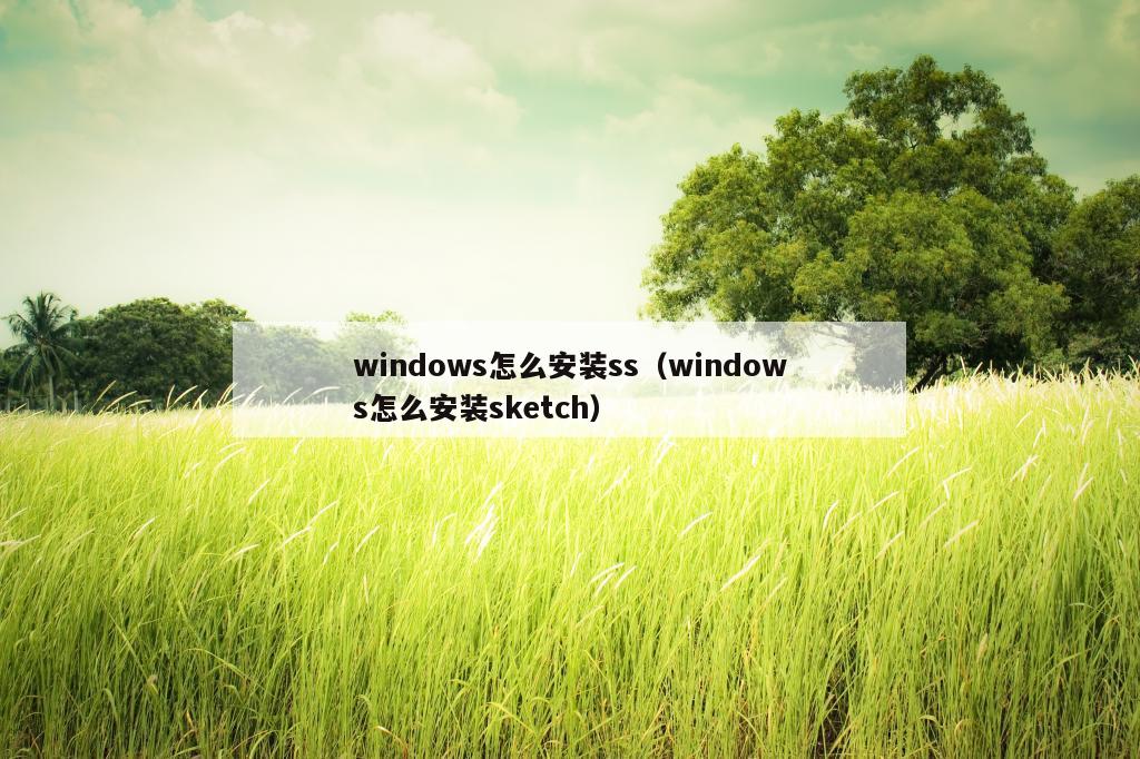 windows怎么安装ss（windows怎么安装sketch）