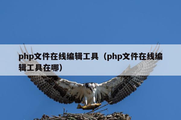 php文件在线编辑工具（php文件在线编辑工具在哪）