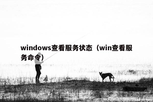 windows查看服务状态（win查看服务命令）