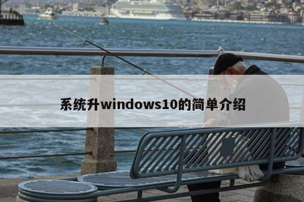 系统升windows10的简单介绍