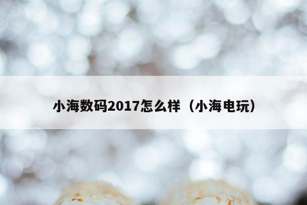 小海数码2017怎么样（小海电玩）