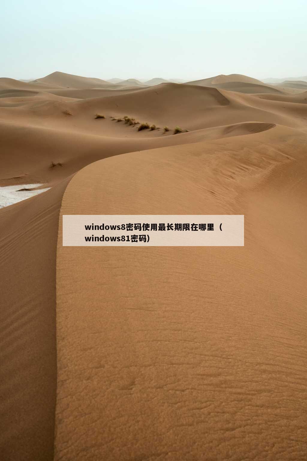 windows8密码使用最长期限在哪里（windows81密码）