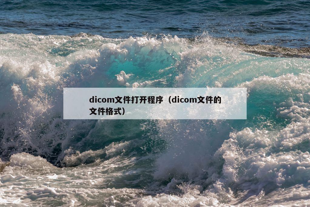 dicom文件打开程序（dicom文件的文件格式）