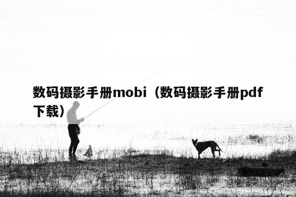 数码摄影手册mobi（数码摄影手册pdf下载）