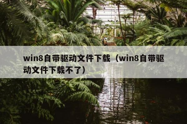 win8自带驱动文件下载（win8自带驱动文件下载不了）