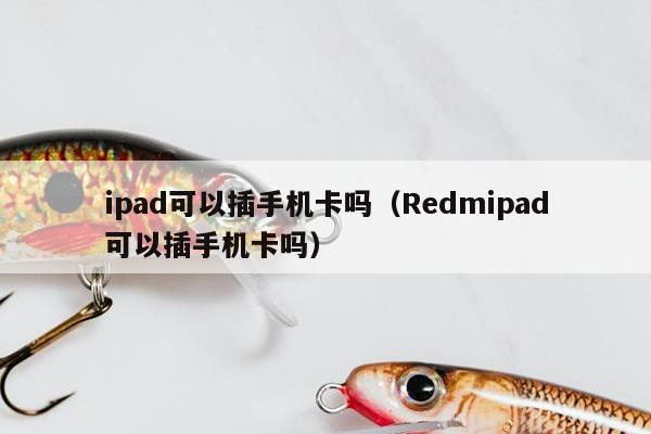 ipad可以插手机卡吗（Redmipad可以插手机卡吗）