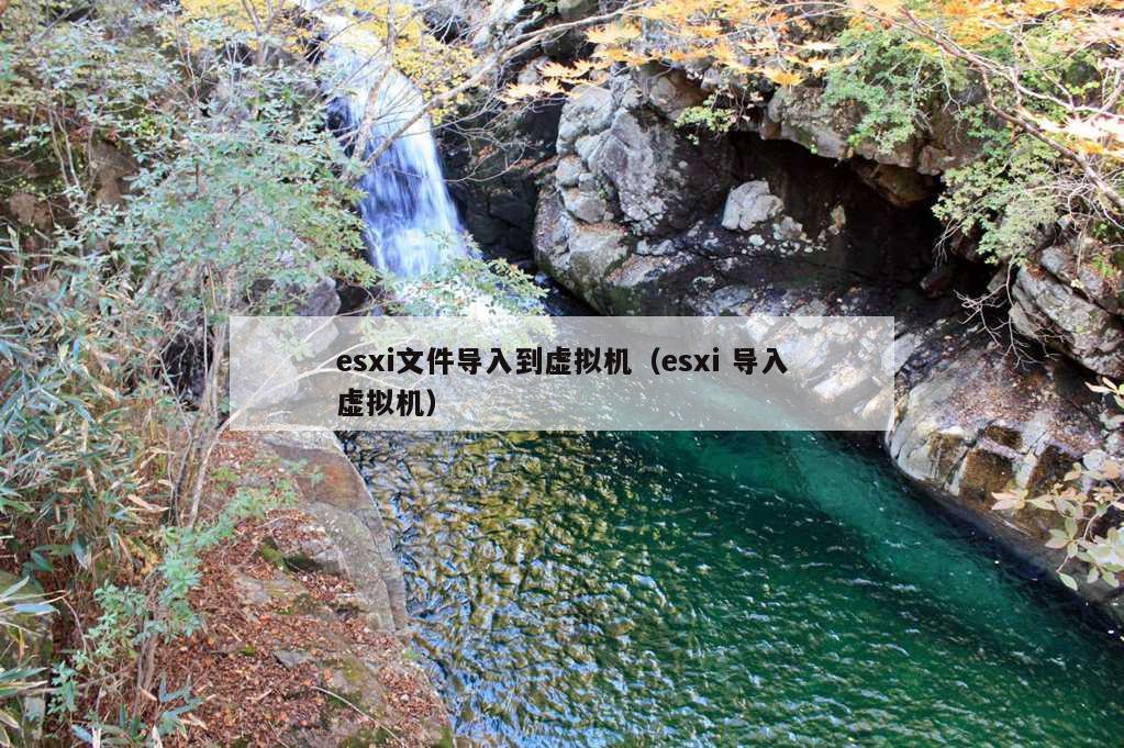 esxi文件导入到虚拟机（esxi 导入虚拟机）