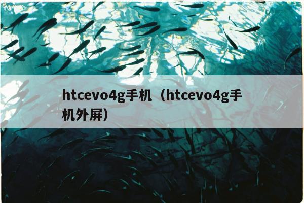 htcevo4g手机（htcevo4g手机外屏）