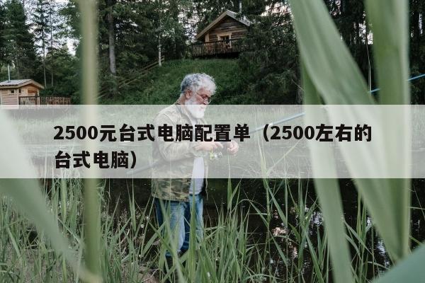 2500元台式电脑配置单（2500左右的台式电脑）