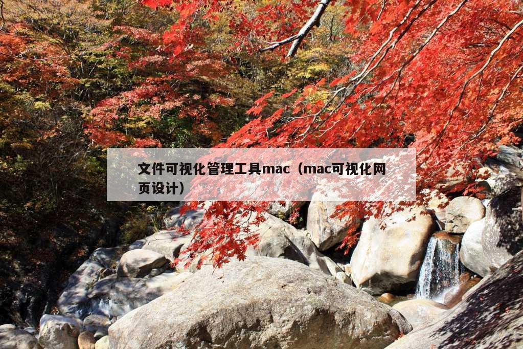 文件可视化管理工具mac（mac可视化网页设计）