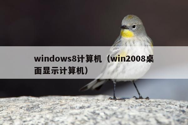 windows8计算机（win2008桌面显示计算机）