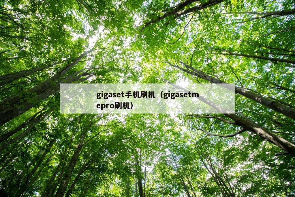 gigaset手机刷机（gigasetmepro刷机）